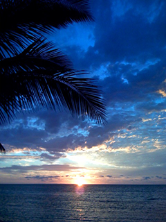 Key West Sunrise